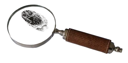 Delil Tespiti Davaları